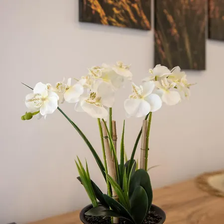 Apartma Puhan *